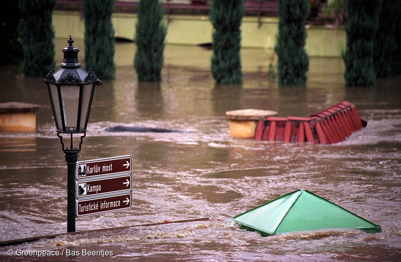 imagen: greenpeace.org