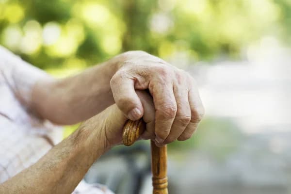 Normas que declara incompatible la calidad de pensionado de la ex Caja de Previsión de Empleados Particulares y la de trabajador activo afecto al mismo régimen previsional, no produce resultados contrarios a la Constitución.