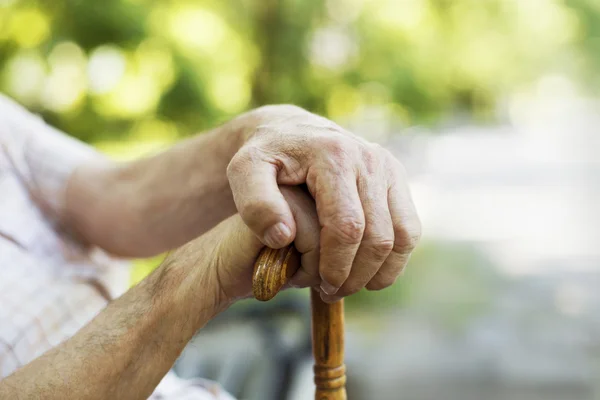 Normas que declara incompatible la calidad de pensionado de la ex Caja de Previsión de Empleados Particulares y la de trabajador activo afecto al mismo régimen previsional, no produce resultados contrarios a la Constitución.