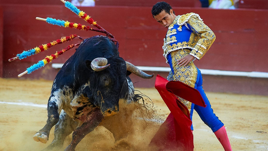 ¿Tortura animal o bien cultural? Se enciende el debate sobre la tauromaquia en España, por Nuria López.