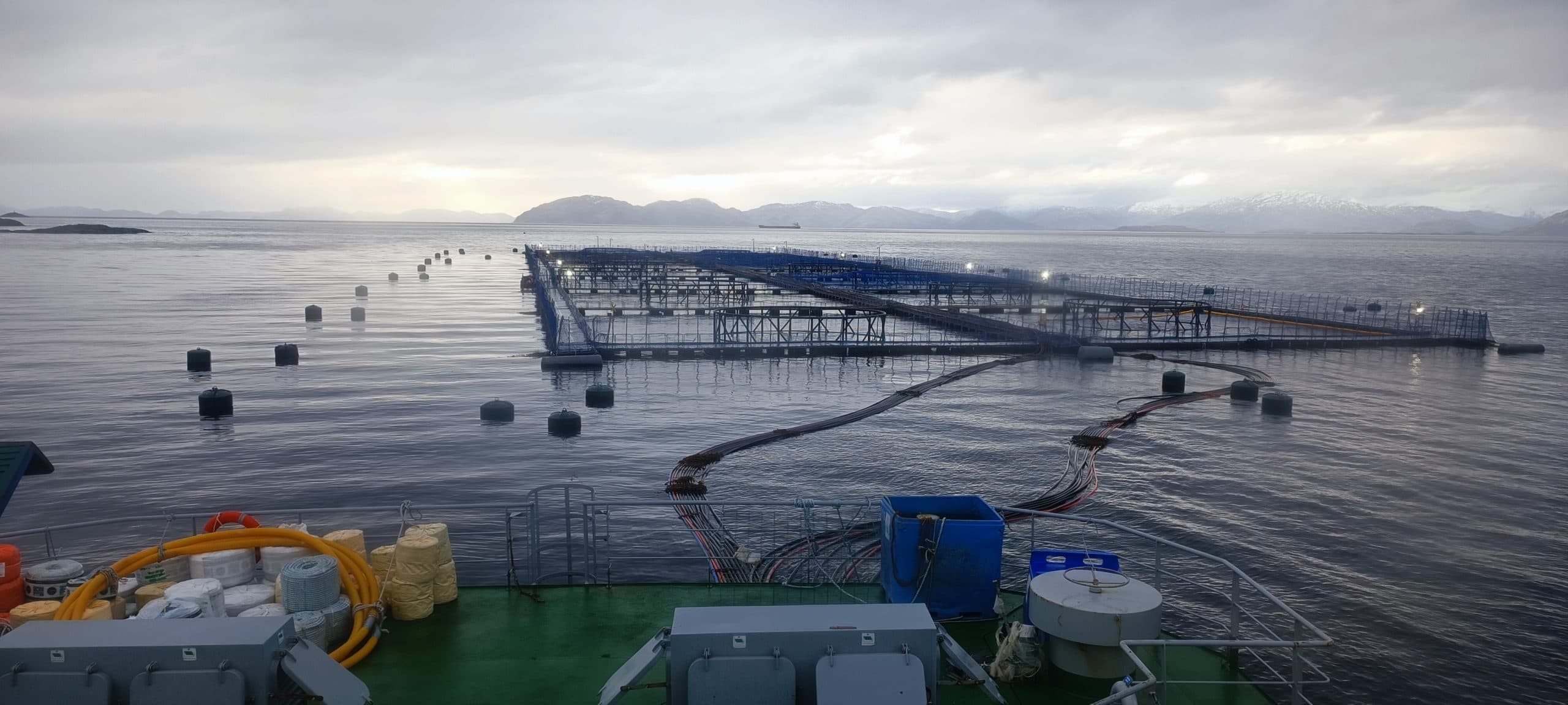 SMA inicia procedimiento sancionatorio contra Blumar por sobreproducción en Magallanes