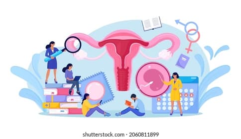 CIDH: Estados Unidos debe redoblar esfuerzos para garantizar el derecho a la salud reproductiva de las mujeres.