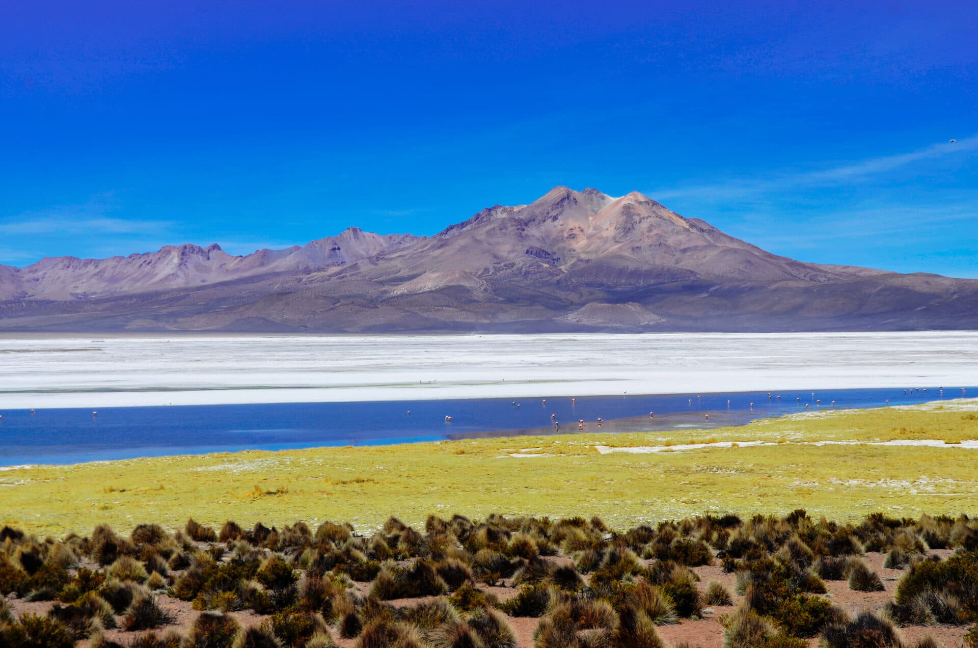 Primer Tribunal Ambiental analizará demanda por daño ambiental en el Salar de Surire.