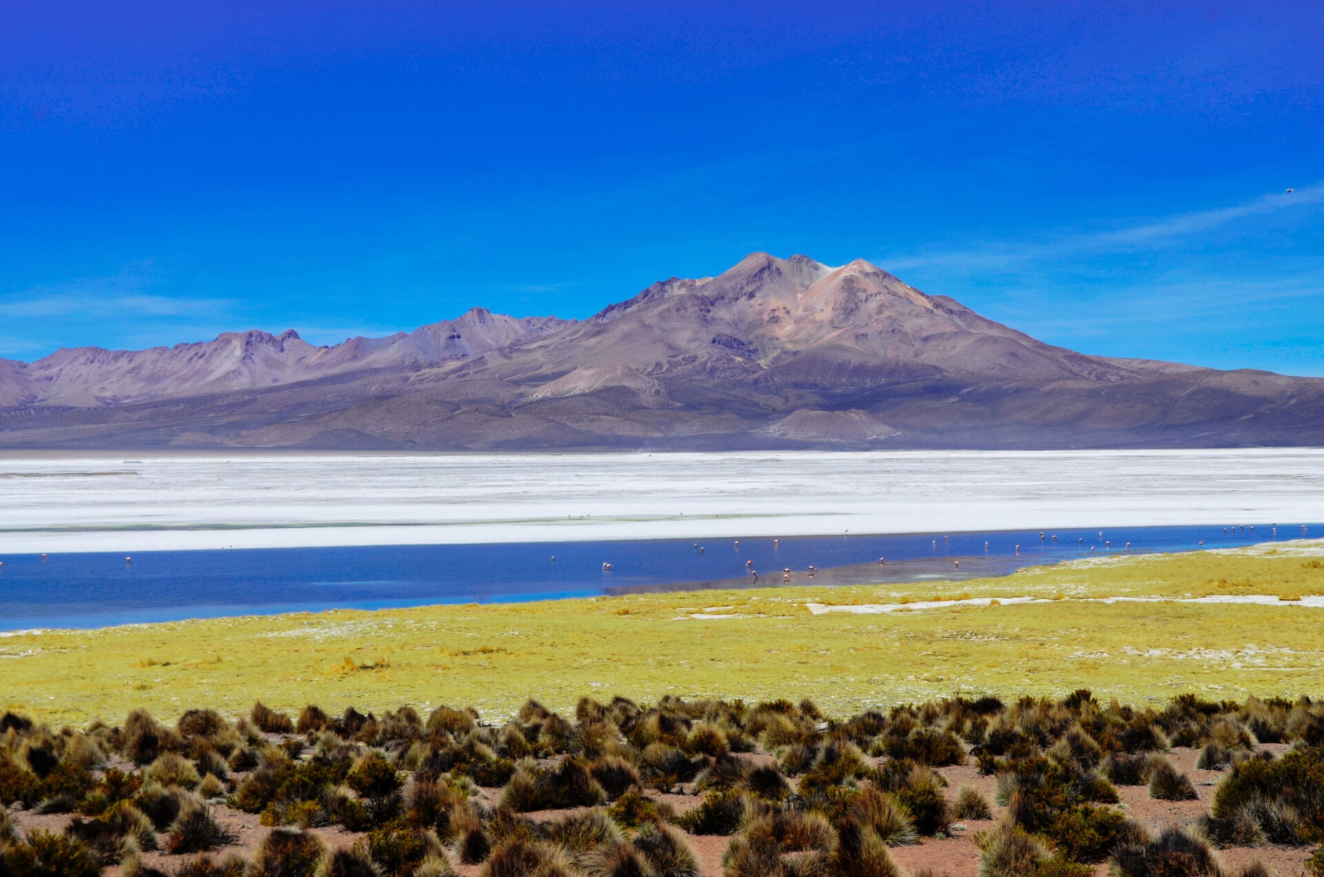 Primer Tribunal Ambiental analizará demanda por daño ambiental en el Salar de Surire.