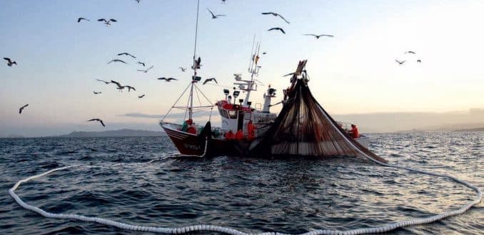 Norma de la Ley General de Pesca Pesca y Acuicultura que establece que la denuncia constituirá presunción de haberse cometido la infracción, no produce resultados contrarios a la Constitución.