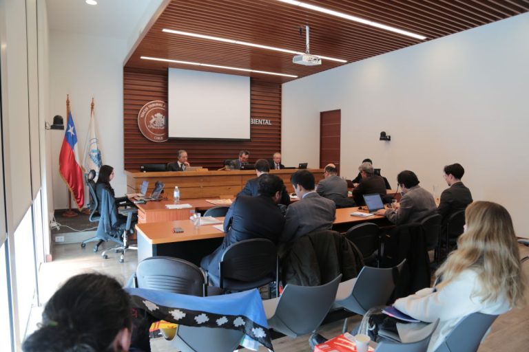 Concluyen audiencias en demanda por daño ambiental contra proyectos inmobiliarios en la costa Valdiviana.