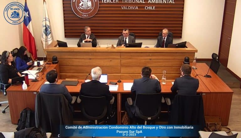 Acuerdo de conciliación podría resolver demanda por daño ambiental contra Inmobiliaria Pocuro Sur.