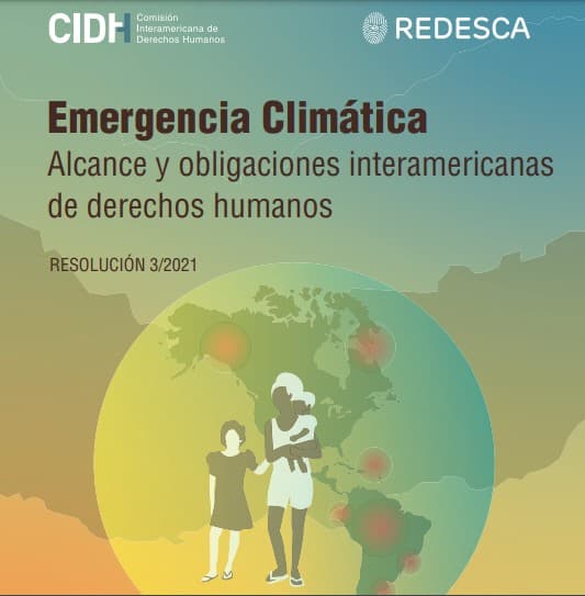 La REDESCA insta a una acción urgente ante la crisis ambiental en América del Sur provocada por los incendios forestales.