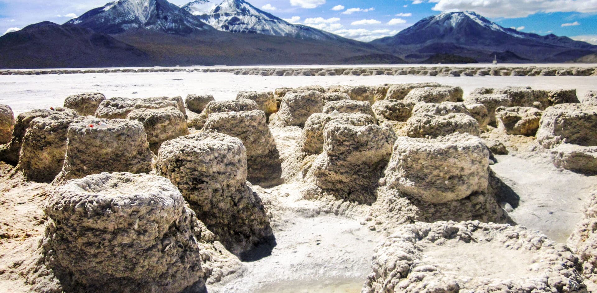 Primer Tribunal Ambiental realiza visita inspectiva al Salar de Surire por demanda en contra Quiborax.