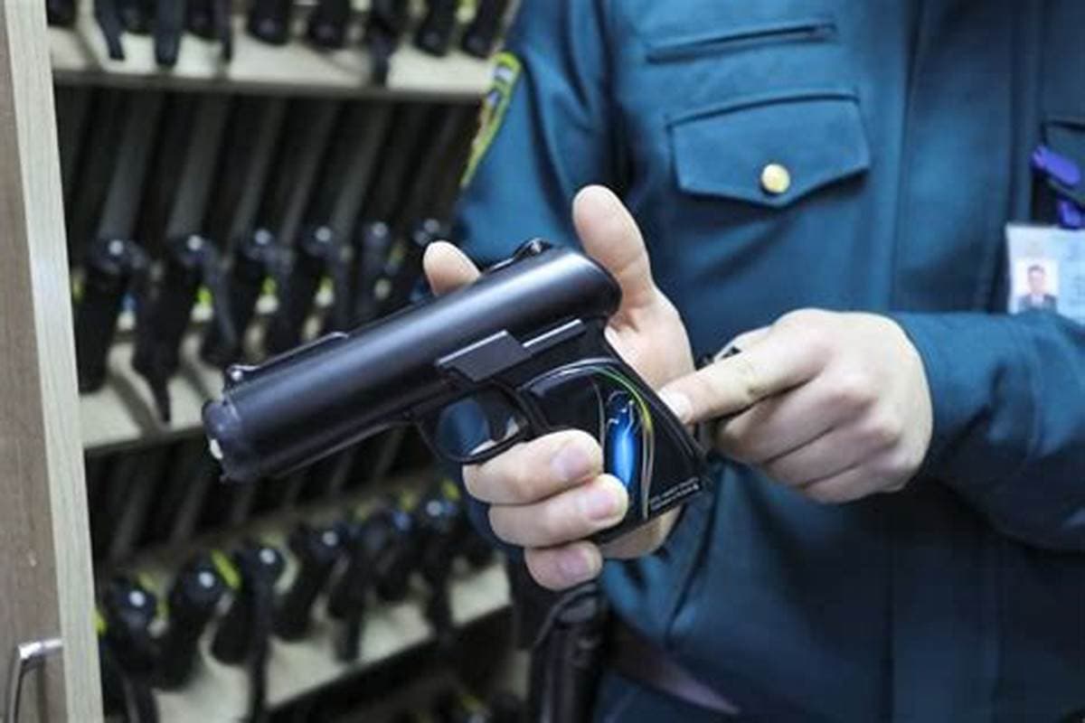 Contraloría dictamina que la Dirección General de Movilización Nacional puede solicitar datos al Registro Civil para evitar la inscripción de armas por personas condenadas o sancionadas por violencia intrafamiliar.