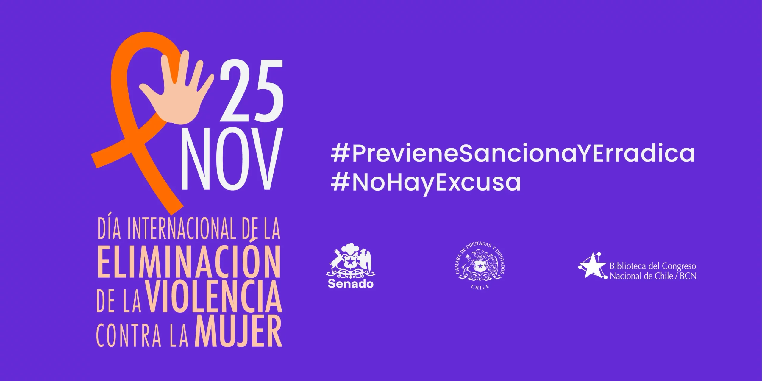 25N: Congreso Nacional adhiere al Día Internacional de la Eliminación de la Violencia contra la Mujer.