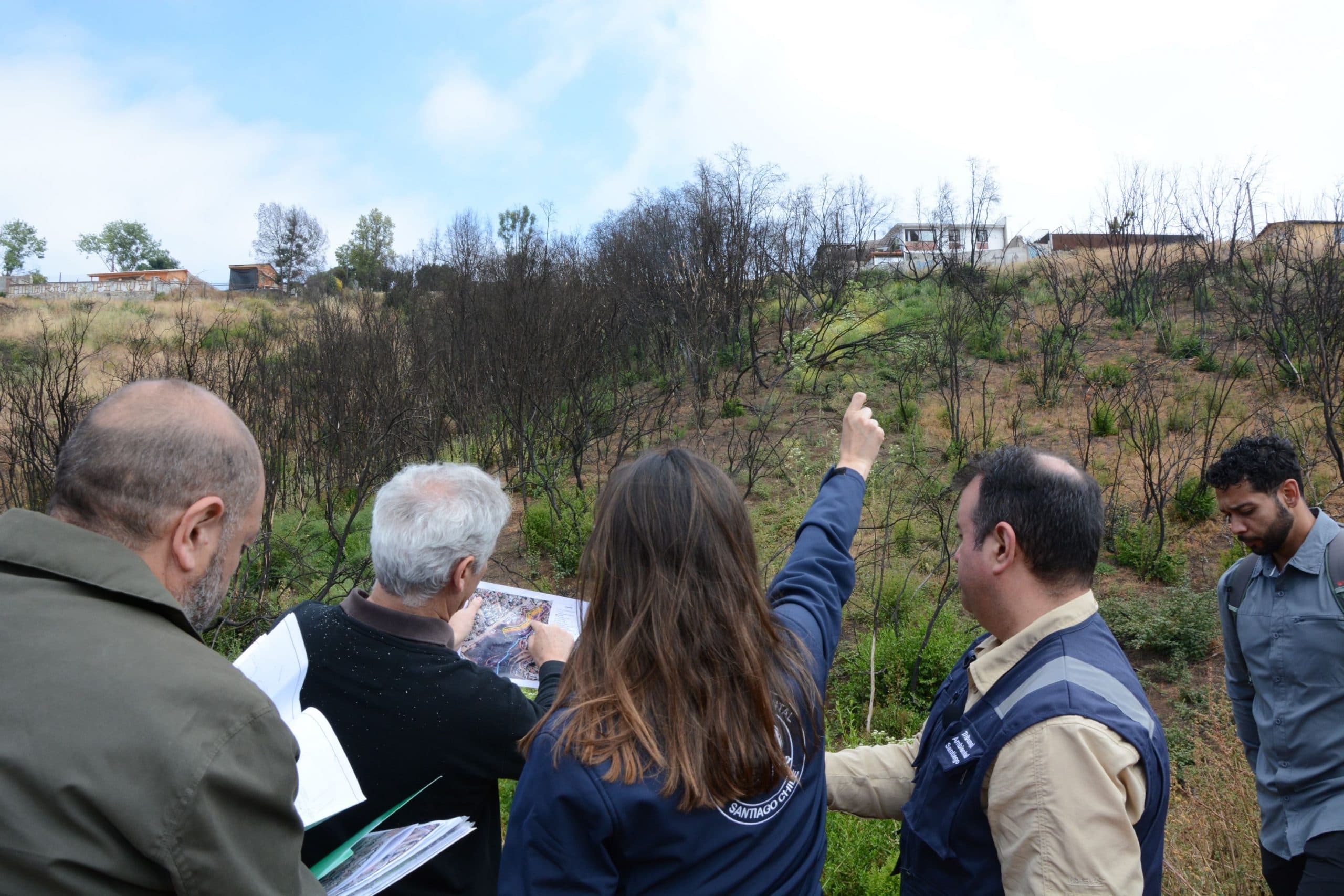 Segundo Tribunal Ambiental inspeccionó Humedal Urbano Entre Cerros en Viña del Mar.