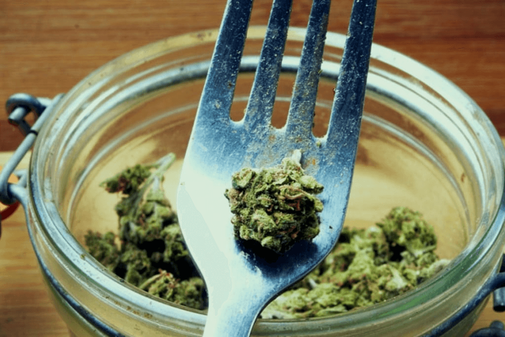 imagen: royalqueenseeds.es