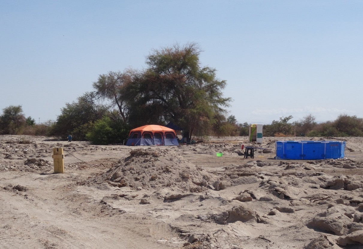 SMA inicia procedimiento sancionatorio contra proyecto inmobiliario Fundo San Ignacio por obras al interior de área protegida.