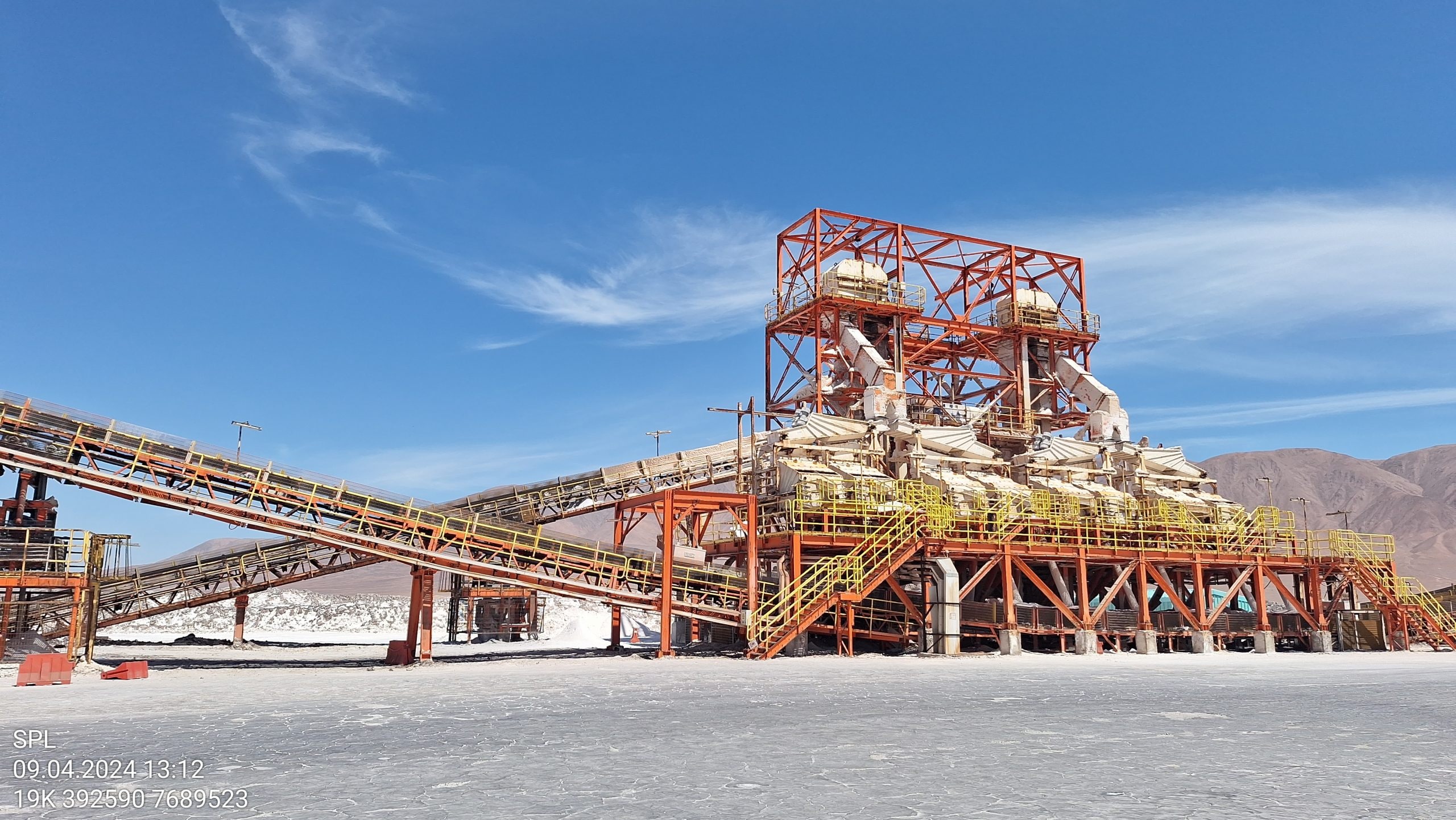 SMA formula cargos contra titular de proyecto Terminal Patillos Sal Lobos-Iquique por afectación a Golondrinas de Mar Negra.