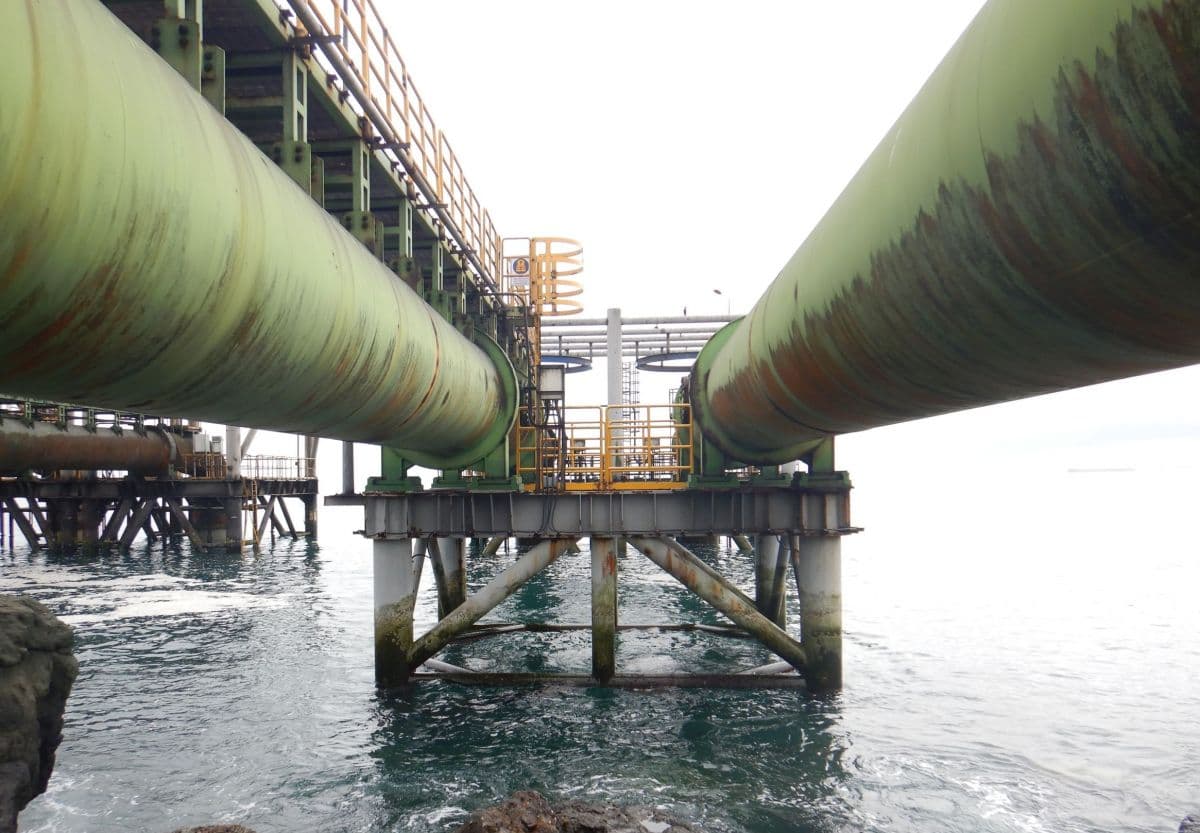 SMA ordena medidas urgentes y transitorias al Complejo Termoeléctrico Guacolda tras muerte de chungungo en pozo de aducción.