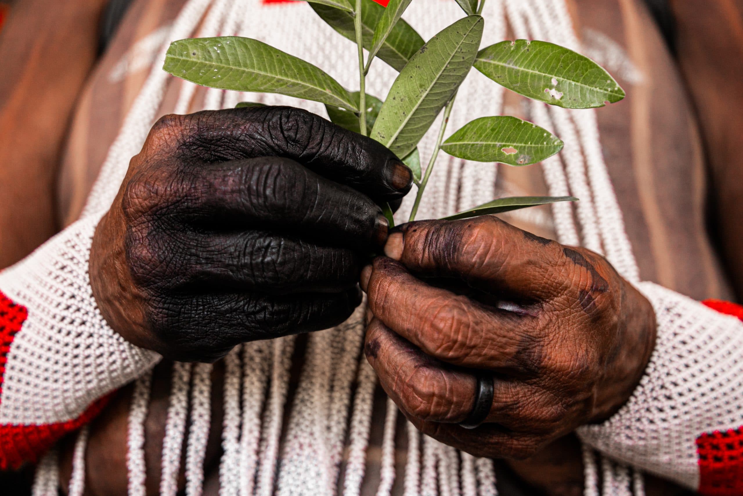 imagen: hivos.org