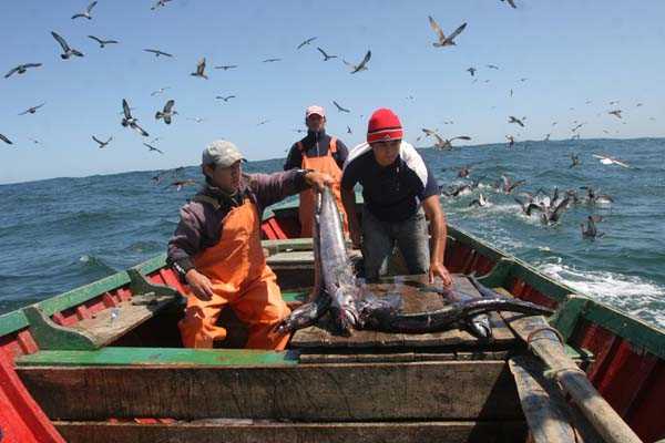 Ley de Pesca