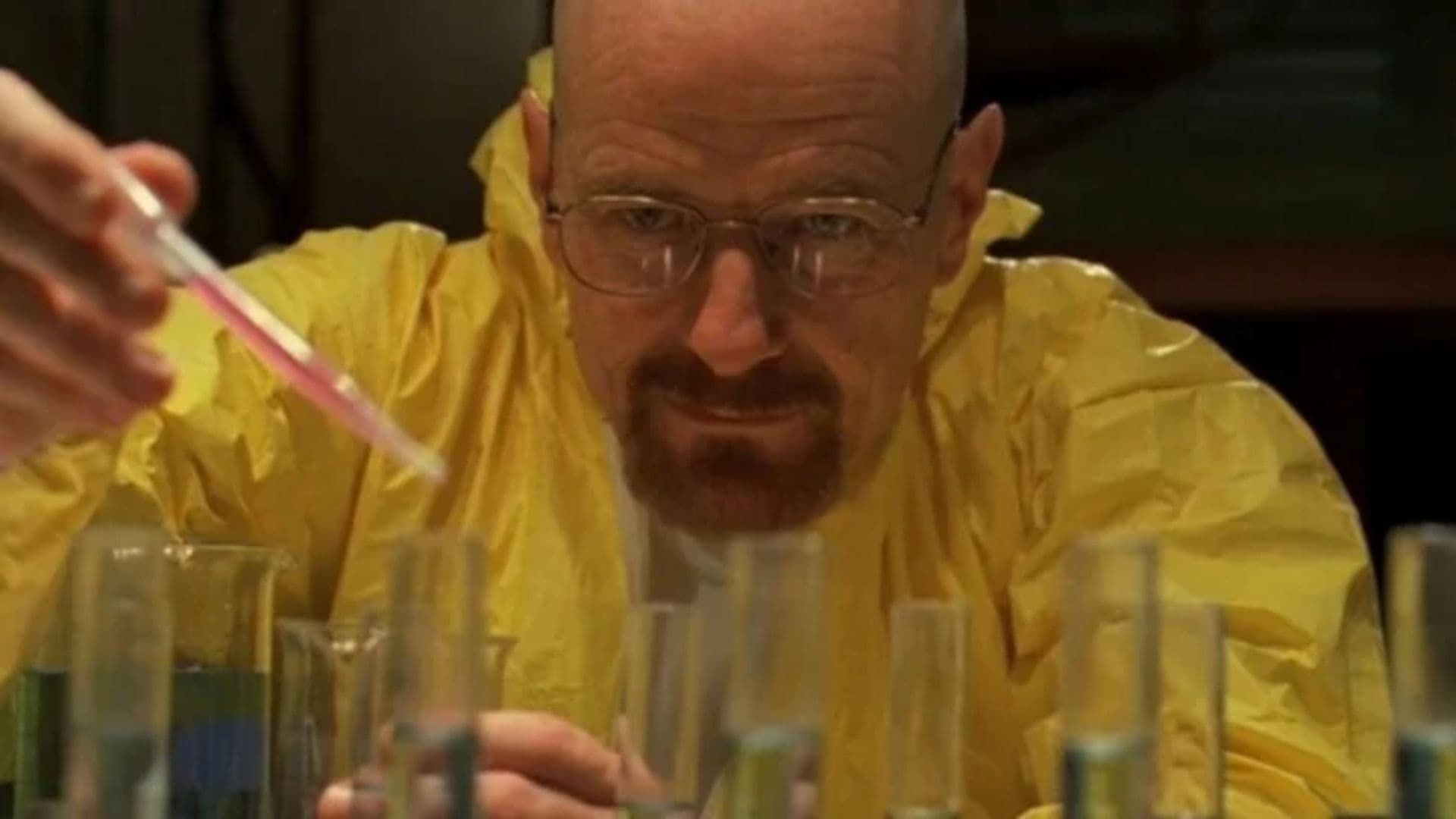 Bryan Cranston // Walter White // Breaking bad // all rights reserved