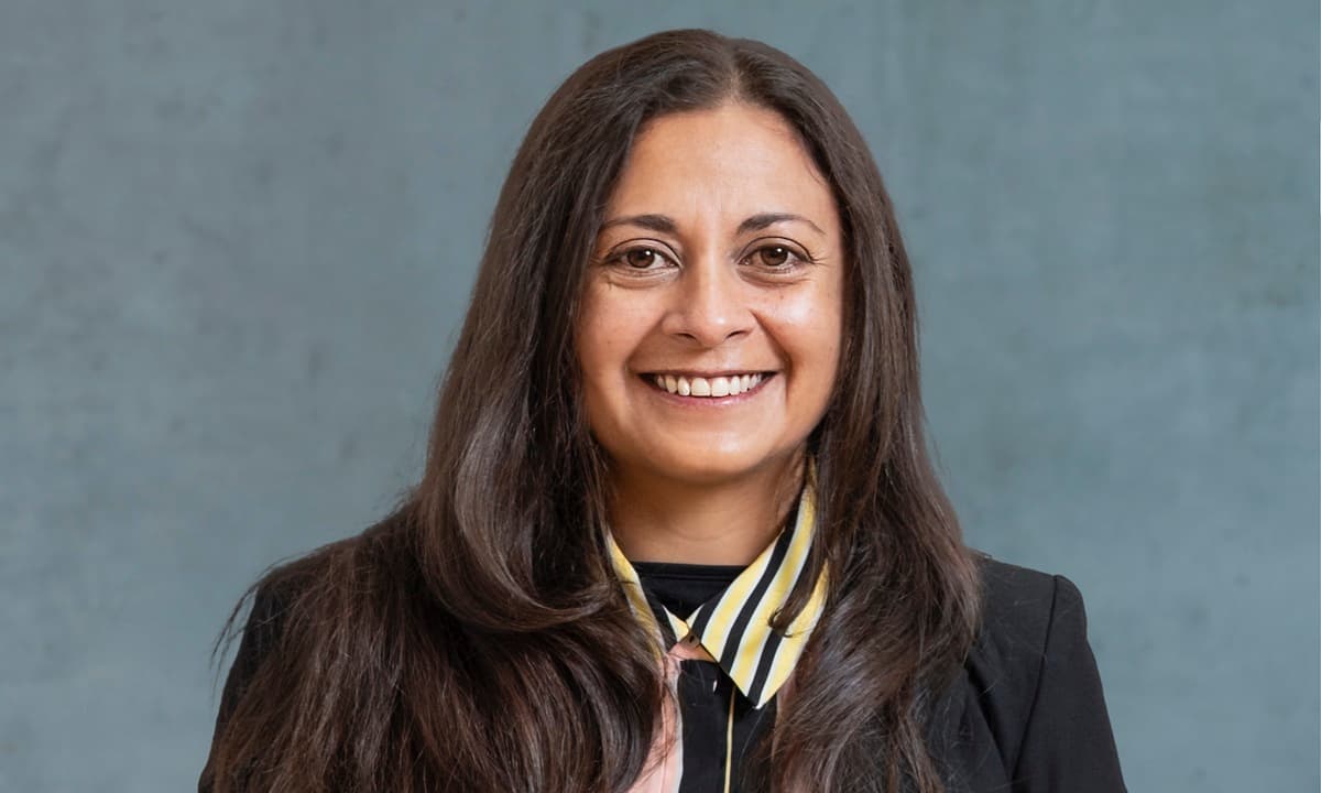 Dra. Dominnique Luan, académica UCSC: “Sin regulación clara, el nepotismo seguirá siendo una práctica instalada”