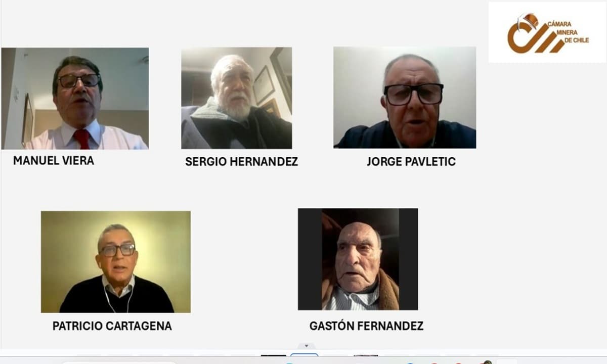 Expertos coinciden en que hay que modernizar el Gobierno Corporativo de Enami, pero sin afectar su rol principal.