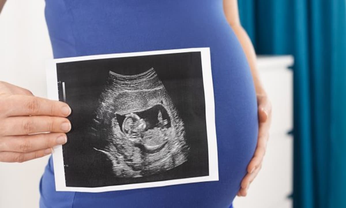 Imagen: nace.igenomix.es