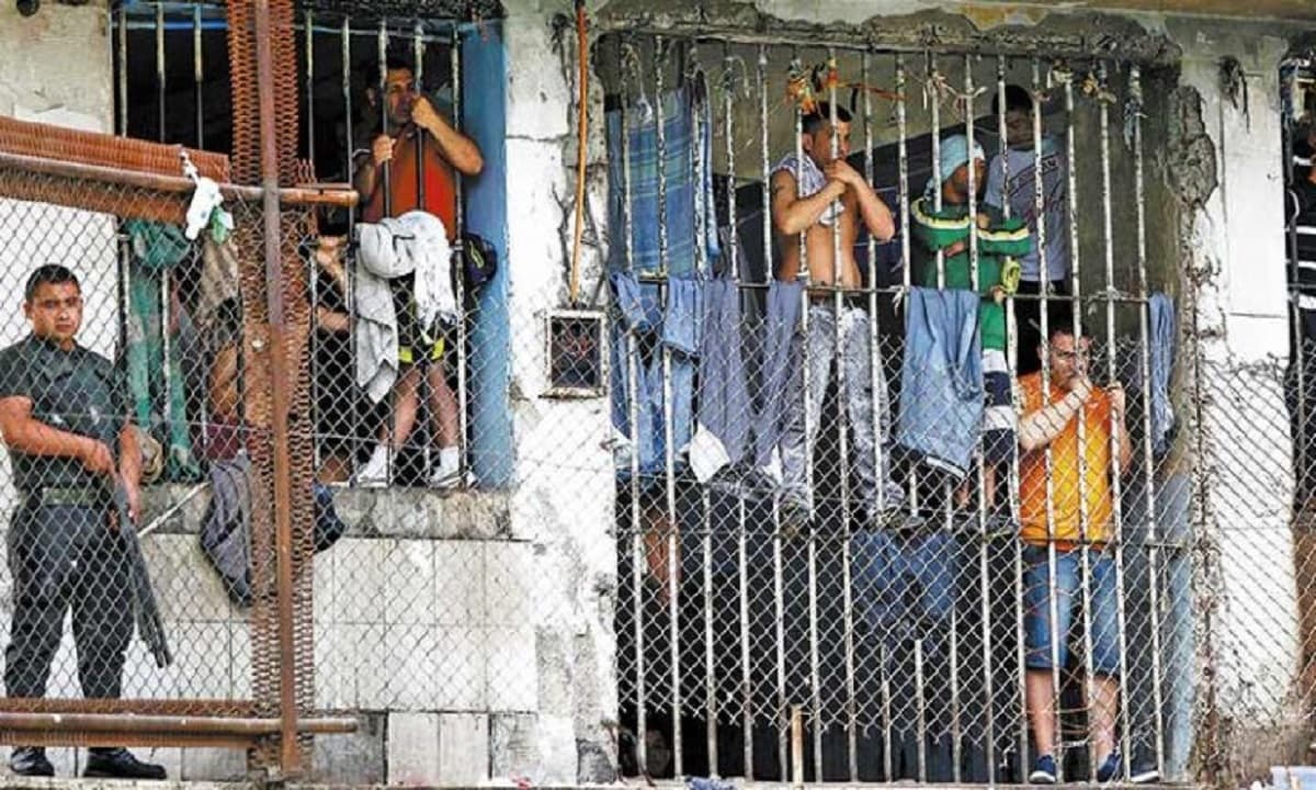Imagen: elagora.net
