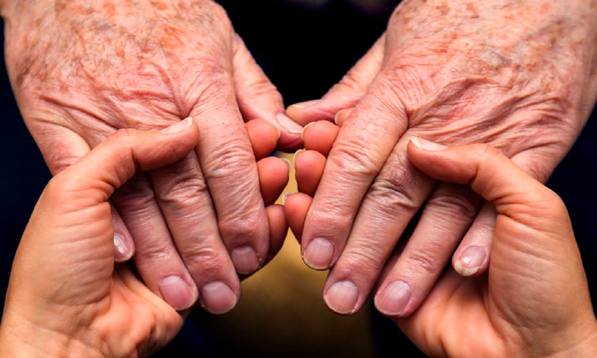 Imagen: humanidades.ufro.cl