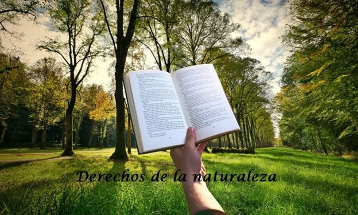 Imagen: projusticiaydesarrollo.com