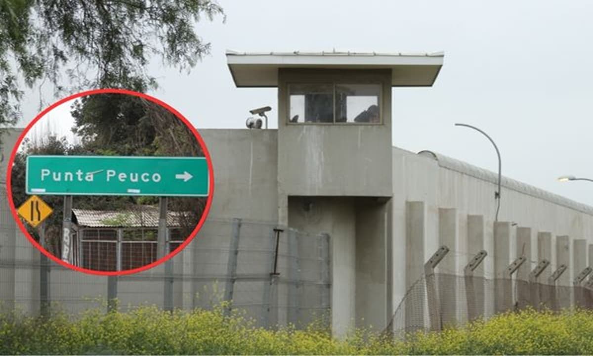 Imagen:. chicureohoy.cl
