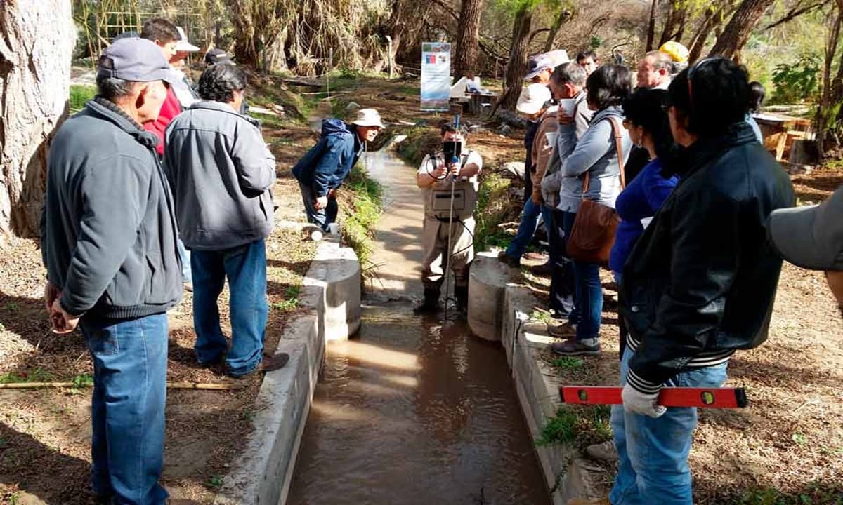 Imagen: portalagrochile.cl