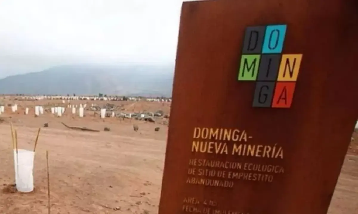 Tribunal Constitucional deberá pronunciarse en inaplicabilidad de normas en caso Dominga