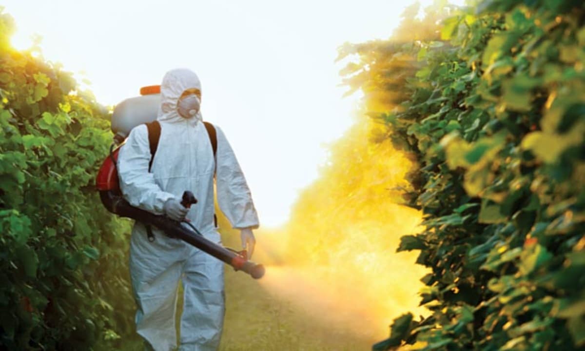 panorama-agro.com