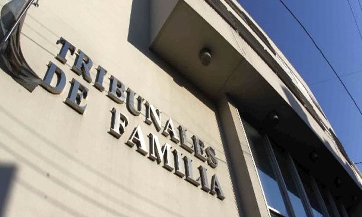 A 20 años de la Reforma a la Justicia de Familia: Luces, sombras y deudas pendientes