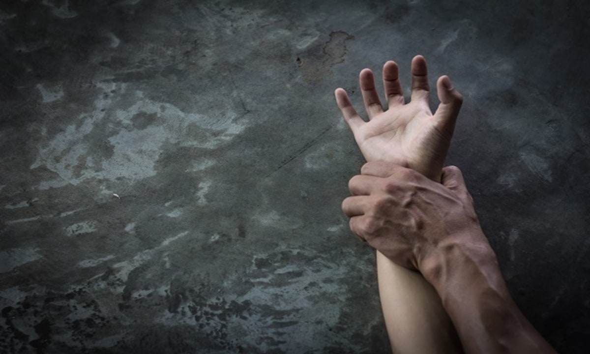 imagen: ucm.es