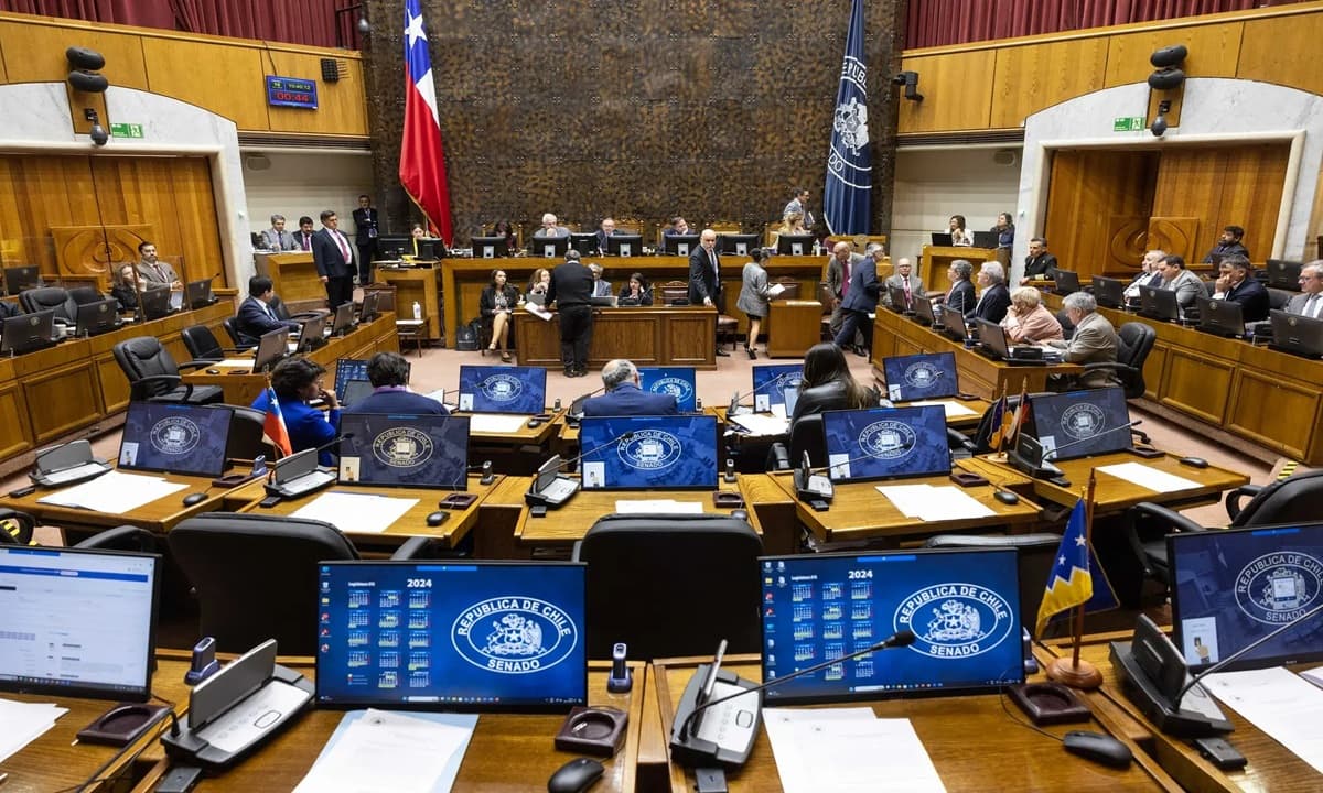 Imagen: Senado