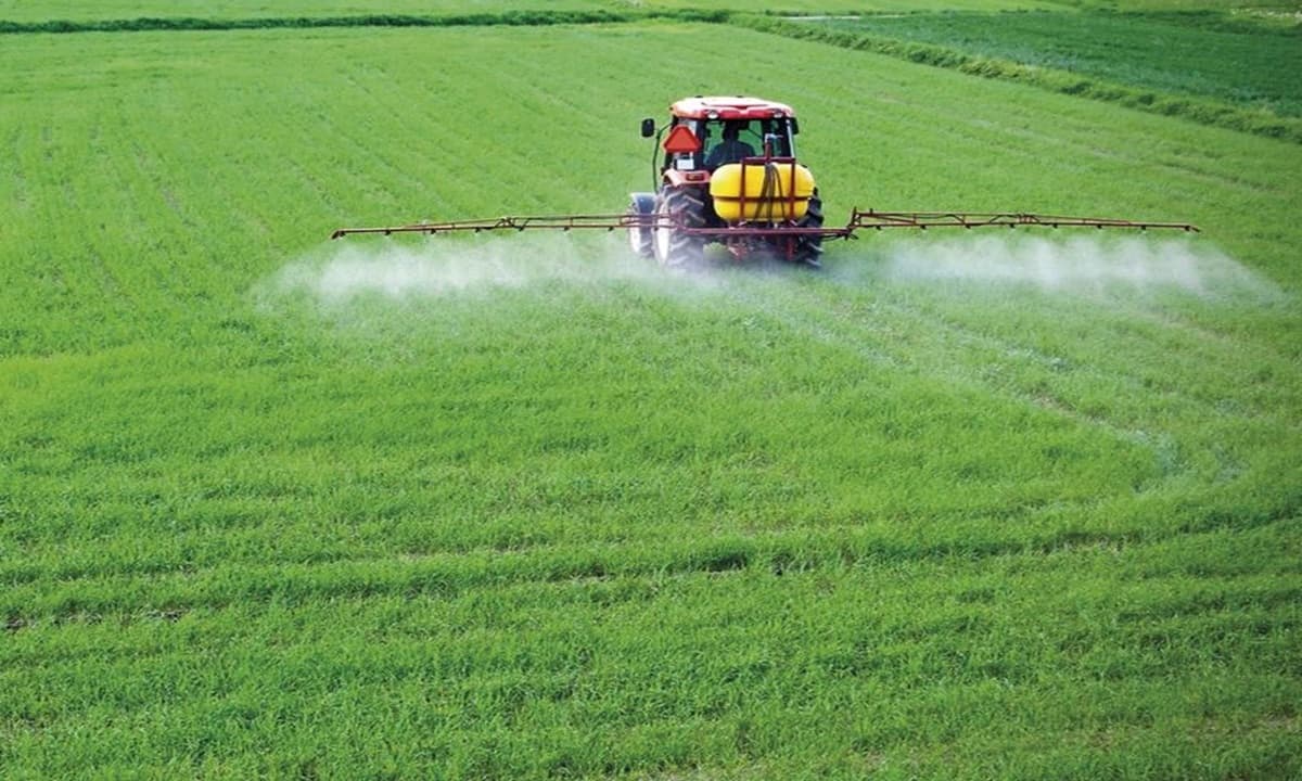 Imagen: ecomercioagrario.com