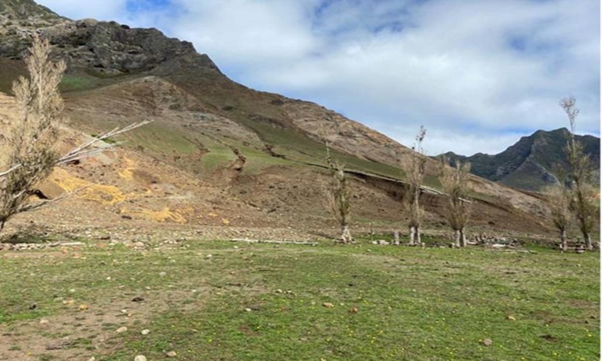 Imagen: tribunalambiental.cl