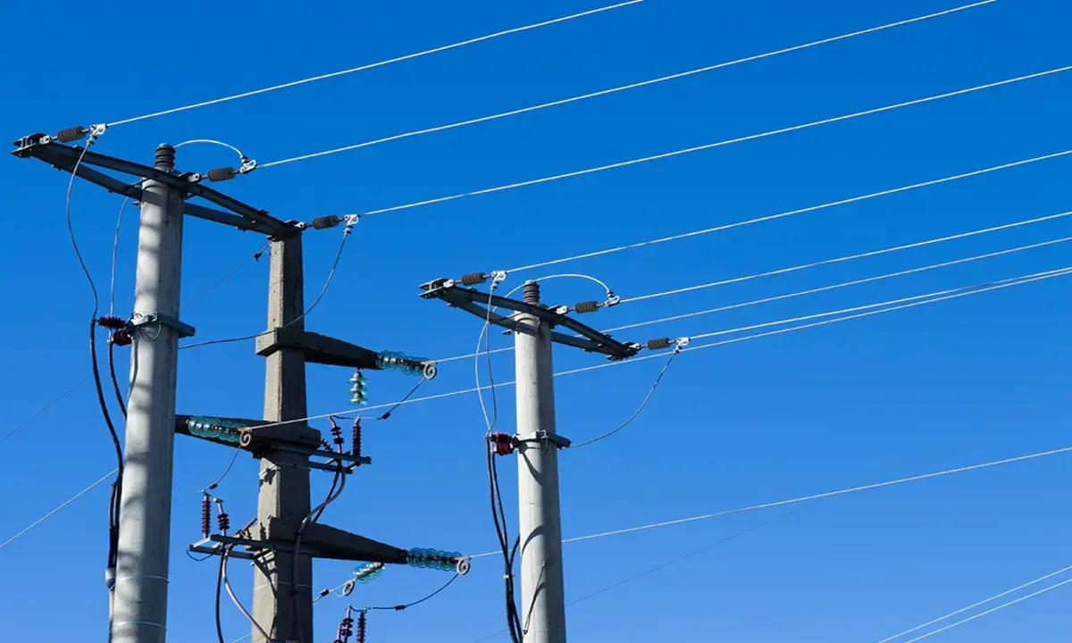 Multa a eléctrica por deficiente mantención de líneas se confirma por Corte Suprema