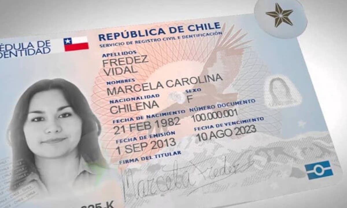 Imagen: immichile.cl