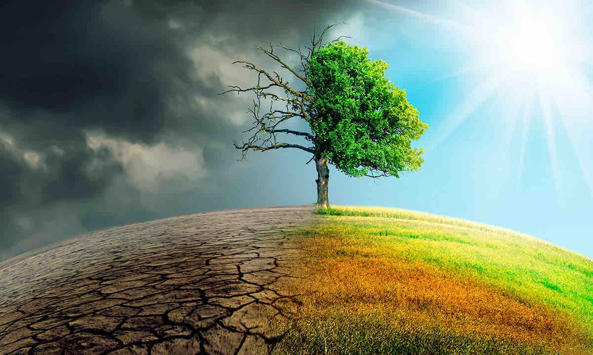 imagen: agrocolun.cl
