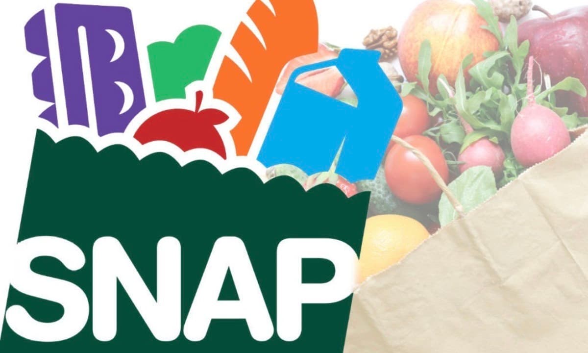 imagen: foodbanknews