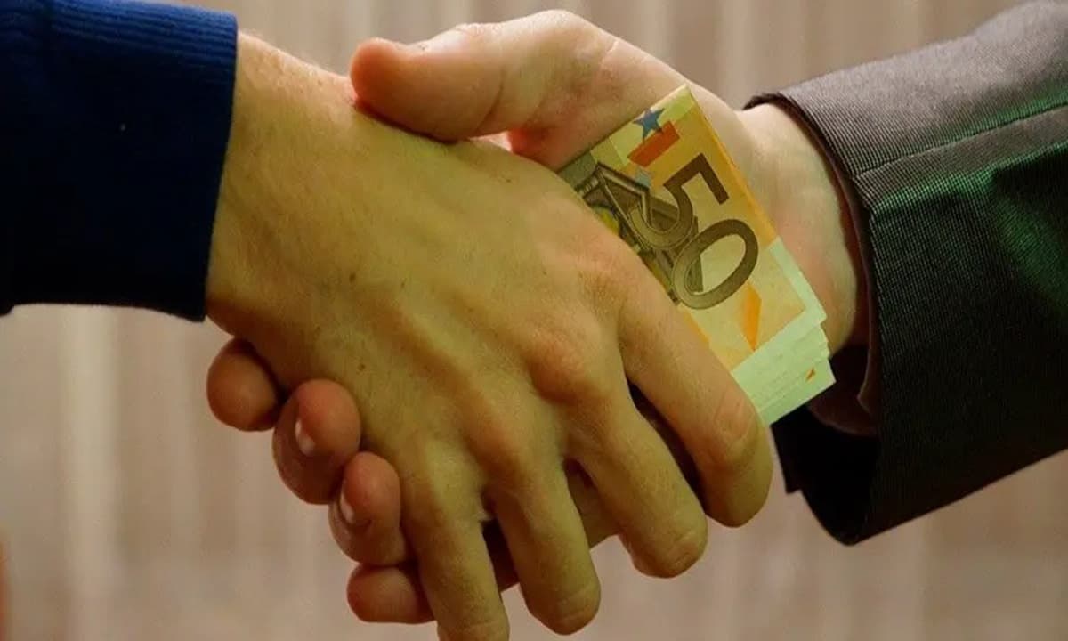 imagen: gersonvidal.com