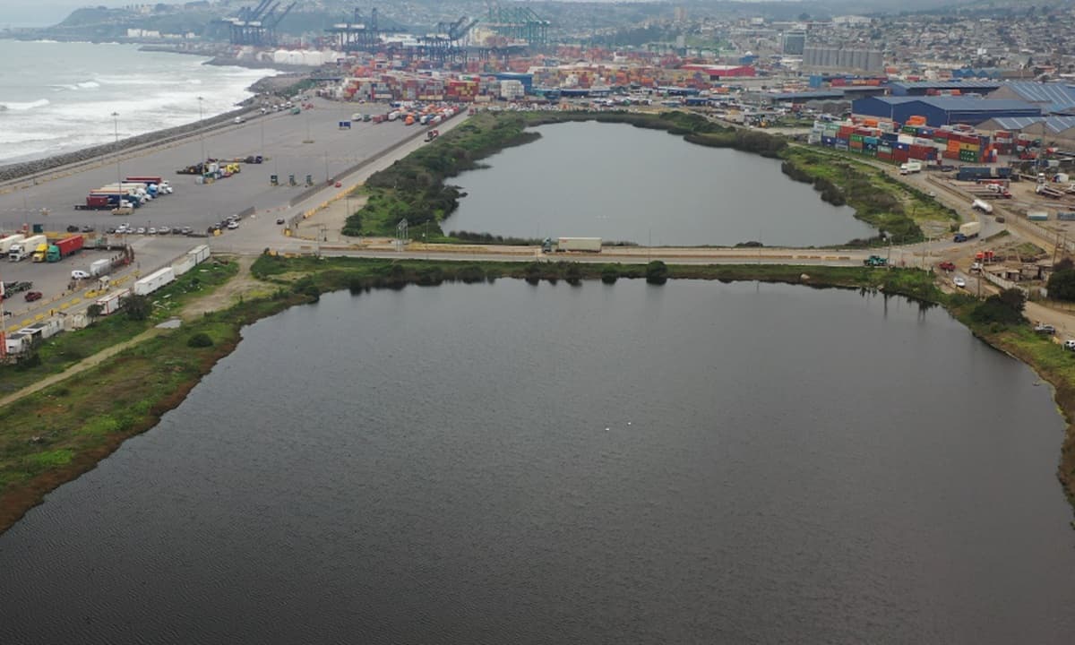 Segundo Tribunal Ambiental ordena nuevamente al Ministerio del Medio Ambiente revisar la delimitación del humedal urbano Ojos de Mar en San Antonio
