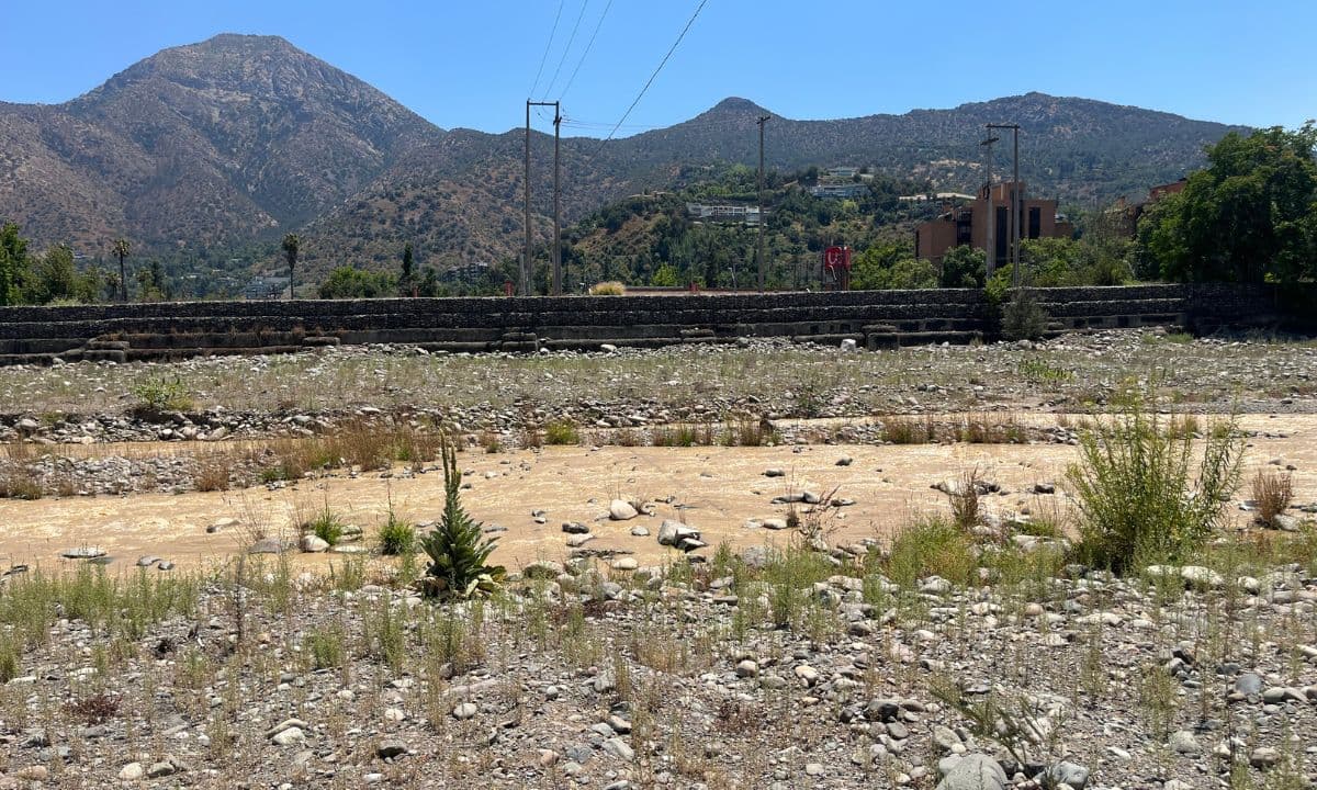 ¿Sabías qué el Río Mapocho fue declarado oficialmente humedal urbano?