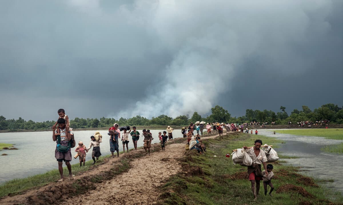 imagen: nyt.com