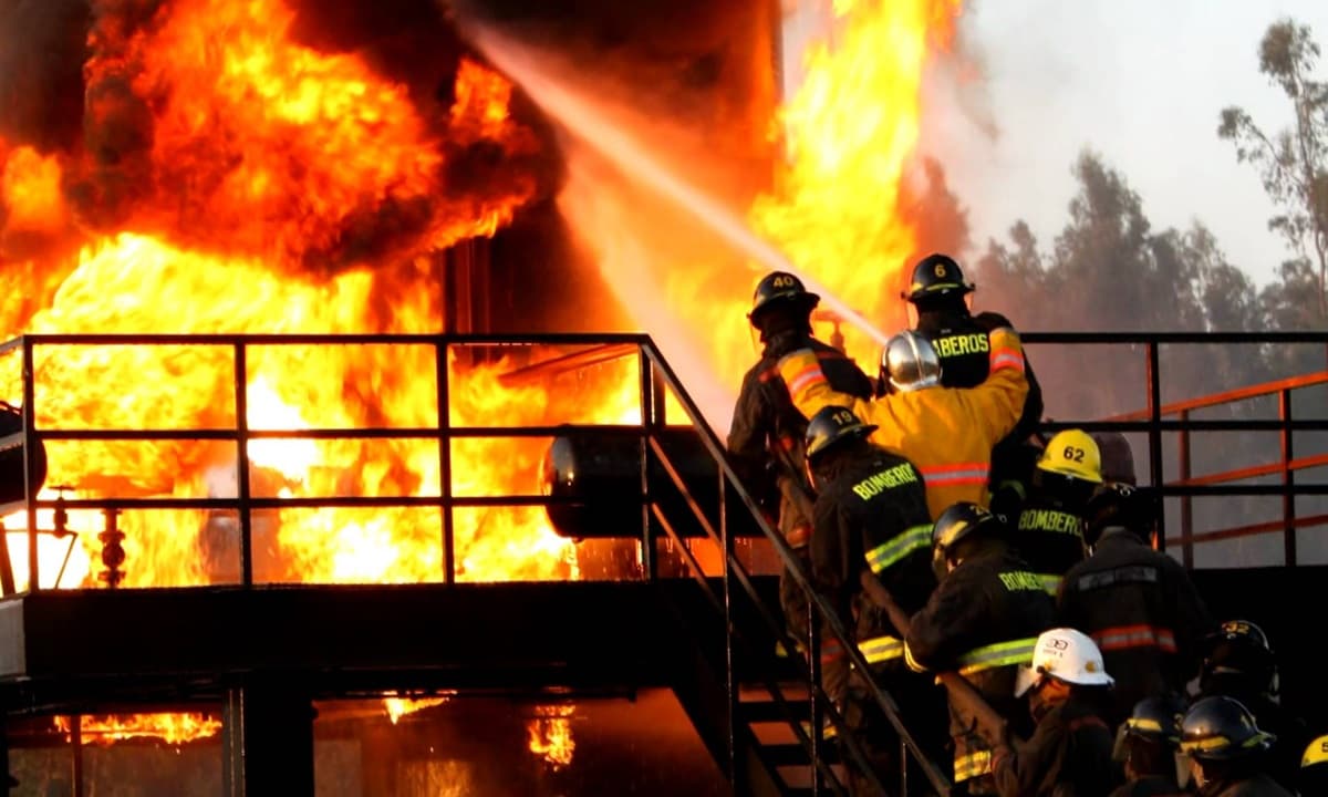 Imagen: fdseguros.cl