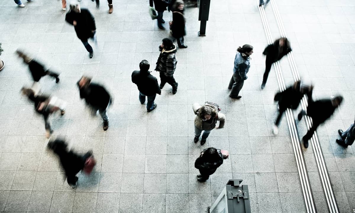 Imagen: nuso.org