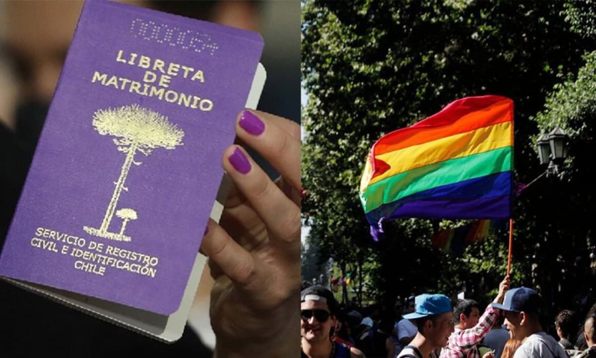 Imagen: redmaule.com