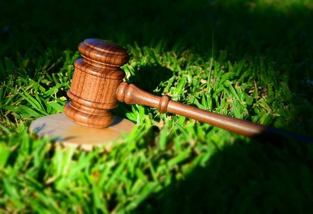 Gavel